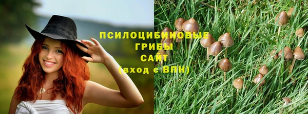 гидропоника Слюдянка