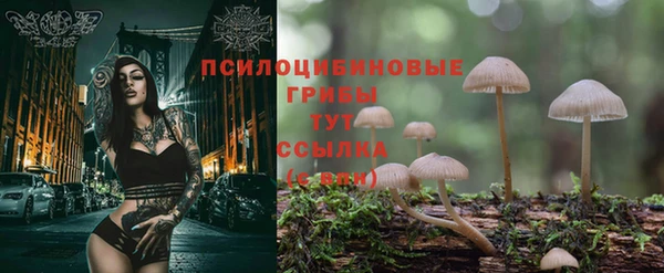 мет Сатка